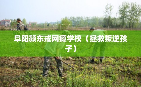 阜阳颍东戒网瘾学校（拯救叛逆孩子）