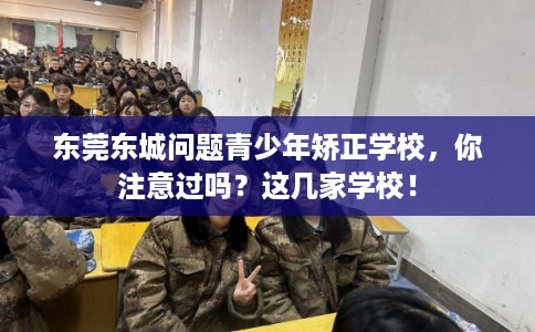 东莞东城问题青少年矫正学校，你注意过吗？这几家学校！