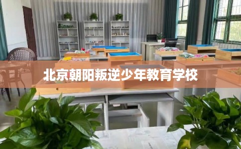 北京朝阳叛逆少年教育学校 北京朝阳叛逆少年教育学校