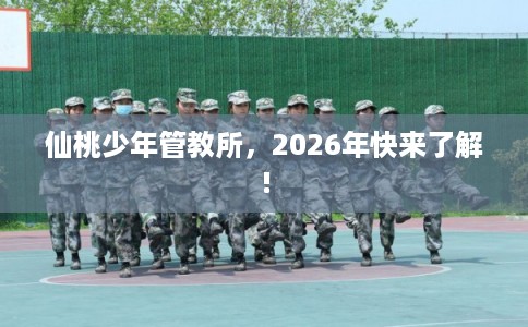 仙桃少年管教所，2026年快来了解!