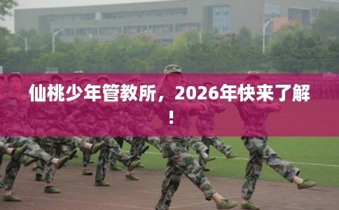 仙桃少年管教所，2026年快来了解!