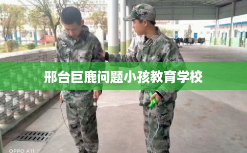 邢台巨鹿问题小孩教育学校 邢台巨鹿问题小孩教育学校
