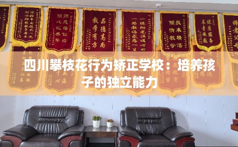 四川攀枝花行为矫正学校：培养孩子的独立能力