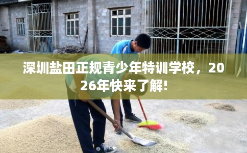 深圳盐田正规青少年特训学校,2026年快来了解! 深圳盐田正规青少年特训学校,2026年快来了解!