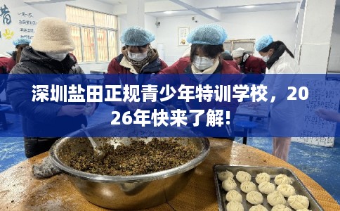 深圳盐田正规青少年特训学校,2026年快来了解! 深圳盐田正规青少年特训学校,2026年快来了解!