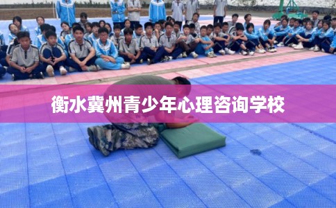 衡水冀州青少年心理咨询学校