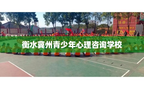 衡水冀州青少年心理咨询学校