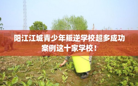 阳江江城青少年叛逆学校超多成功案例这十家学校！