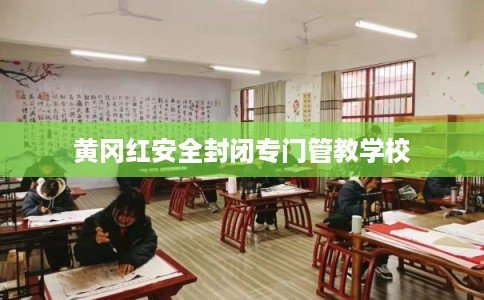 黄冈红安全封闭专门管教学校 黄冈红安全封闭专门管教学校