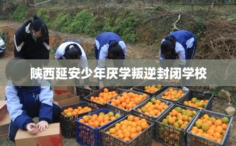 陕西延安少年厌学叛逆封闭学校 陕西延安少年厌学叛逆封闭学校