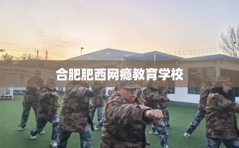 合肥肥西网瘾教育学校 合肥肥西网瘾教育学校