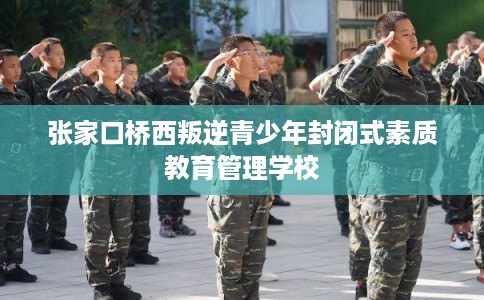 张家口桥西叛逆青少年封闭式素质教育管理学校