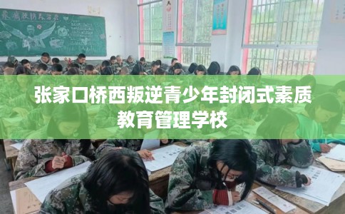 张家口桥西叛逆青少年封闭式素质教育管理学校