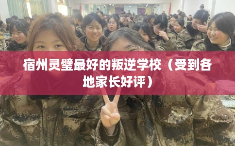 宿州灵璧最好的叛逆学校（受到各地家长好评）