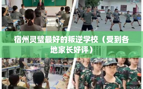 宿州灵璧最好的叛逆学校（受到各地家长好评）