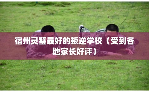 宿州灵璧最好的叛逆学校（受到各地家长好评）