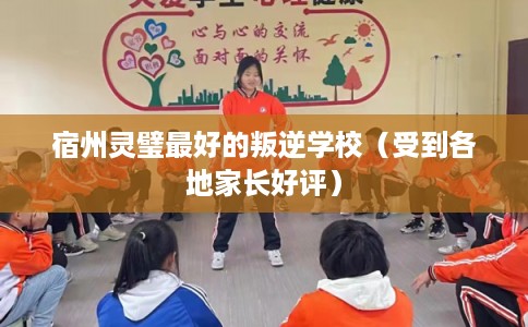 宿州灵璧最好的叛逆学校（受到各地家长好评）