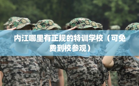 内江哪里有正规的特训学校（可免费到校参观）