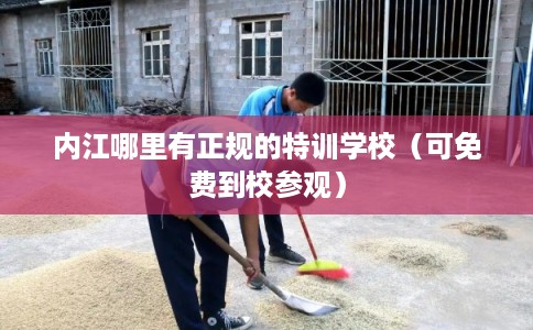 内江哪里有正规的特训学校（可免费到校参观）