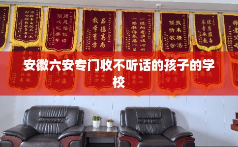 安徽六安专门收不听话的孩子的学校
