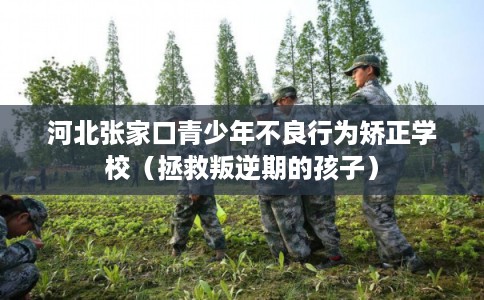 河北张家口青少年不良行为矫正学校（拯救叛逆期的孩子）