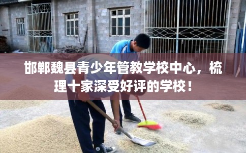 邯郸魏县青少年管教学校中心，梳理十家深受好评的学校！