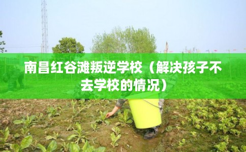 南昌红谷滩叛逆学校（解决孩子不去学校的情况）