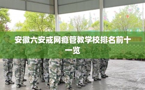 安徽六安戒网瘾管教学校排名前十一览 安徽六安戒网瘾管教学校排名前十一览