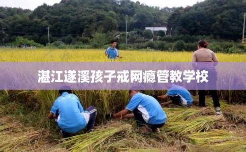 湛江遂溪孩子戒网瘾管教学校
