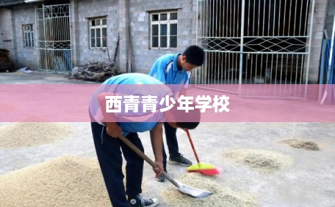 西青青少年学校 西青青少年学校
