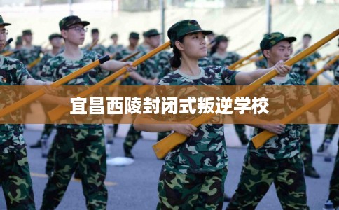 宜昌西陵封闭式叛逆学校