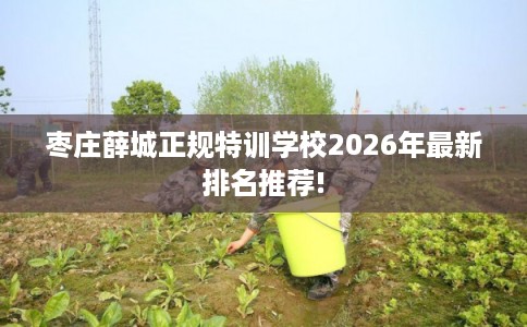 枣庄薛城正规特训学校2026年最新排名推荐!