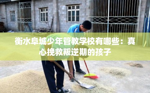 衡水阜城少年管教学校有哪些：真心挽救叛逆期的孩子