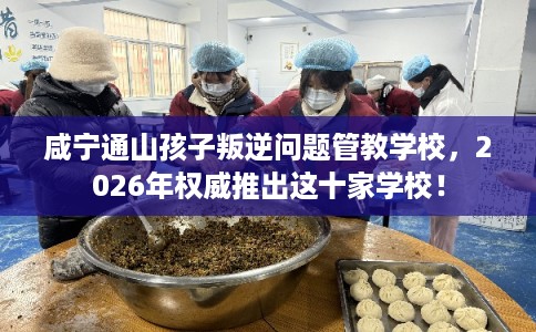 咸宁通山孩子叛逆问题管教学校,2026年权威推出这十家学校! 咸宁通山孩子叛逆问题管教学校,2026年权威推出这十家学校!