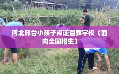 河北邢台小孩子叛逆管教学校(面向全国招生) 河北邢台小孩子叛逆管教学校(面向全国招生)