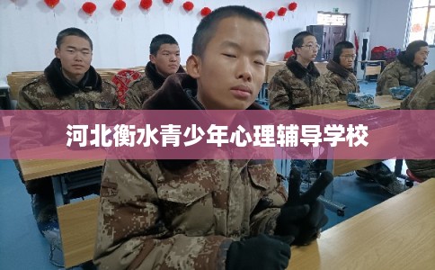 河北衡水青少年心理辅导学校