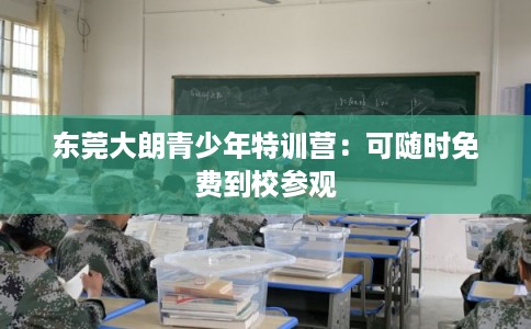 东莞大朗青少年特训营：可随时免费到校参观