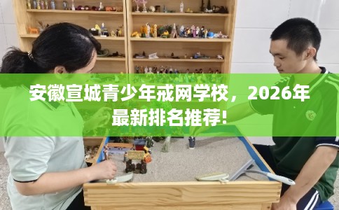 安徽宣城青少年戒网学校，2026年最新排名推荐!