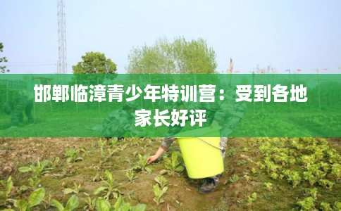 邯郸临漳青少年特训营:受到各地家长好评 邯郸临漳青少年特训营:受到各地家长好评