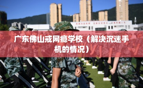 广东佛山戒网瘾学校（解决沉迷手机的情况）
