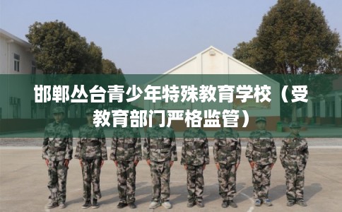 邯郸丛台青少年特殊教育学校（受教育部门严格监管）