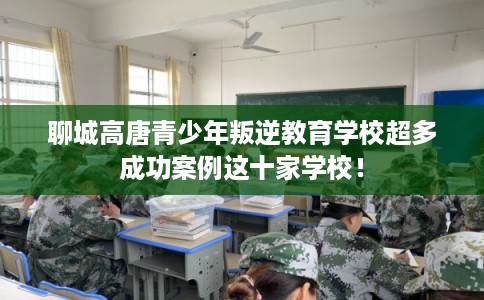 聊城高唐青少年叛逆教育学校超多成功案例这十家学校！