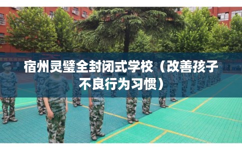 宿州灵璧全封闭式学校（改善孩子不良行为习惯）