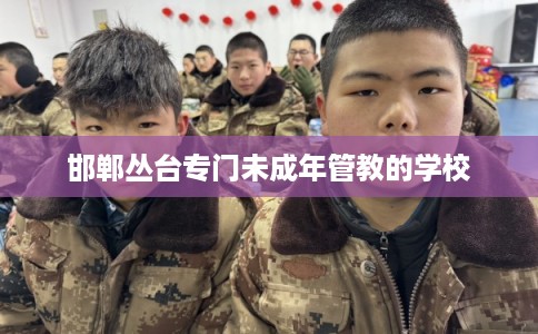 邯郸丛台专门未成年管教的学校 邯郸丛台专门未成年管教的学校