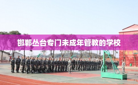 邯郸丛台专门未成年管教的学校 邯郸丛台专门未成年管教的学校