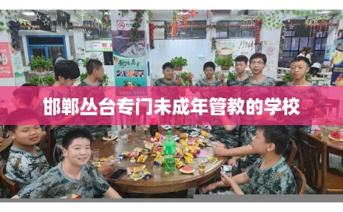 邯郸丛台专门未成年管教的学校 邯郸丛台专门未成年管教的学校