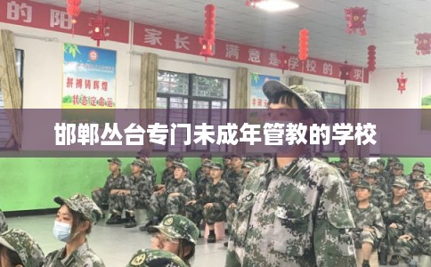 邯郸丛台专门未成年管教的学校 邯郸丛台专门未成年管教的学校