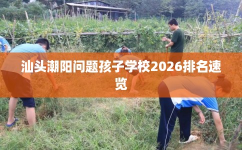 汕头潮阳问题孩子学校2026排名速览