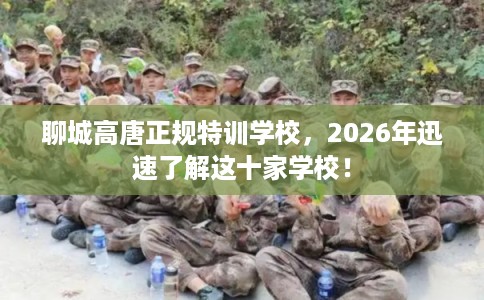 聊城高唐正规特训学校,2026年迅速了解这十家学校! 聊城高唐正规特训学校,2026年迅速了解这十家学校!