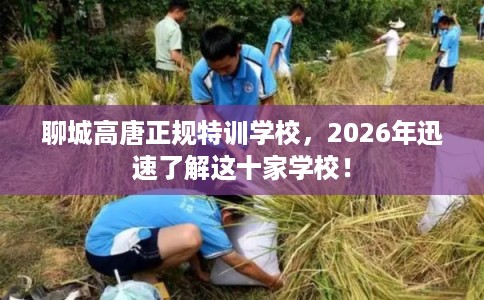 聊城高唐正规特训学校,2026年迅速了解这十家学校! 聊城高唐正规特训学校,2026年迅速了解这十家学校!